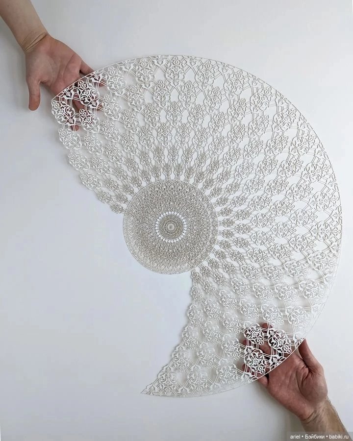 Невероятный бумажные аппликации от Джулии Иббини (Julia Ibbini) (фото 8)