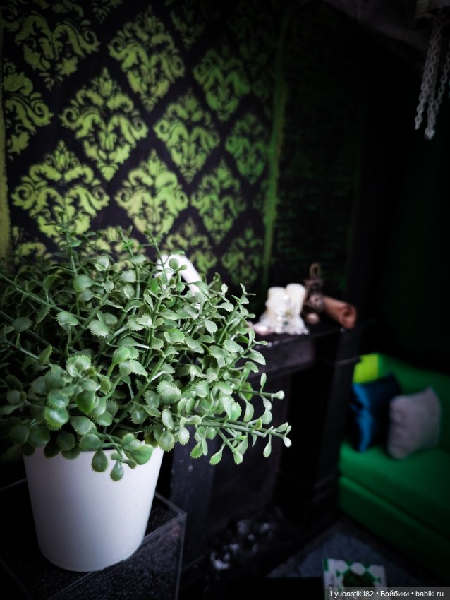 Любители темного и зелёного (фото 3)