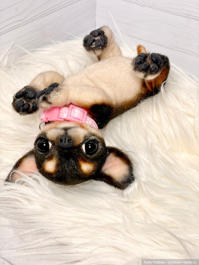 Дейзи 🐶 — Реалистичные игрушки и звери (Натюр): собаки