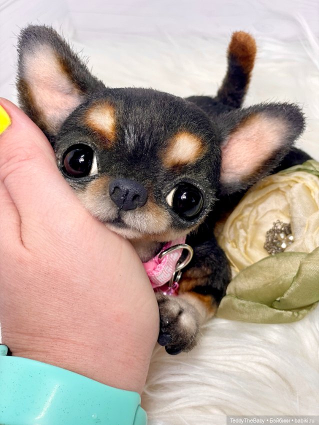 Дейзи 🐶 — Реалистичные игрушки и звери (Натюр): собаки