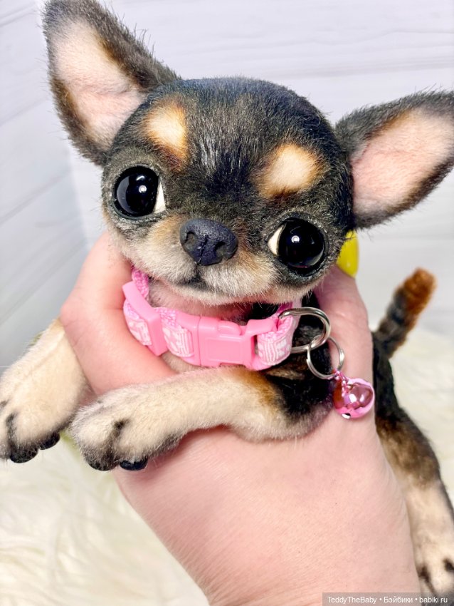 Дейзи 🐶 — Реалистичные игрушки и звери (Натюр): собаки (фото 3)