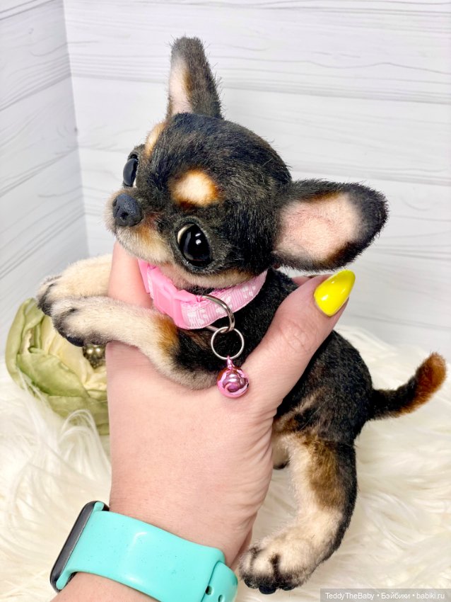 Дейзи 🐶 — Реалистичные игрушки и звери (Натюр): собаки (фото 2)