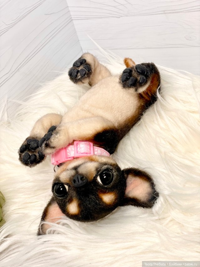 Дейзи 🐶 — Реалистичные игрушки и звери (Натюр): собаки