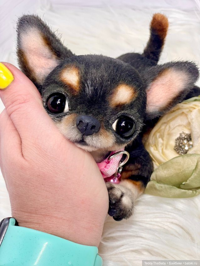 Дейзи 🐶 — Реалистичные игрушки и звери (Натюр): собаки