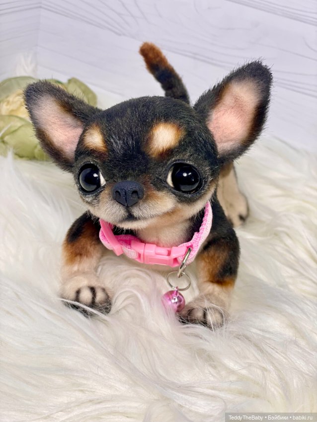 Дейзи 🐶 — Реалистичные игрушки и звери (Натюр): собаки