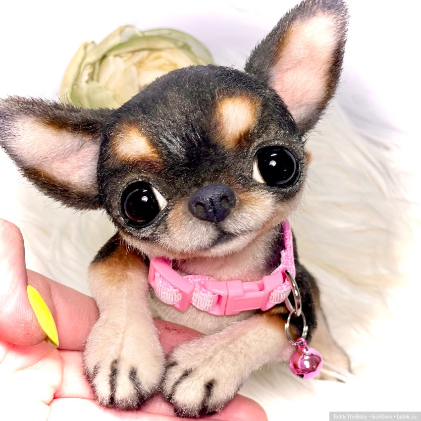 Дейзи 🐶 — Реалистичные игрушки и звери (Натюр): собаки (фото 9)