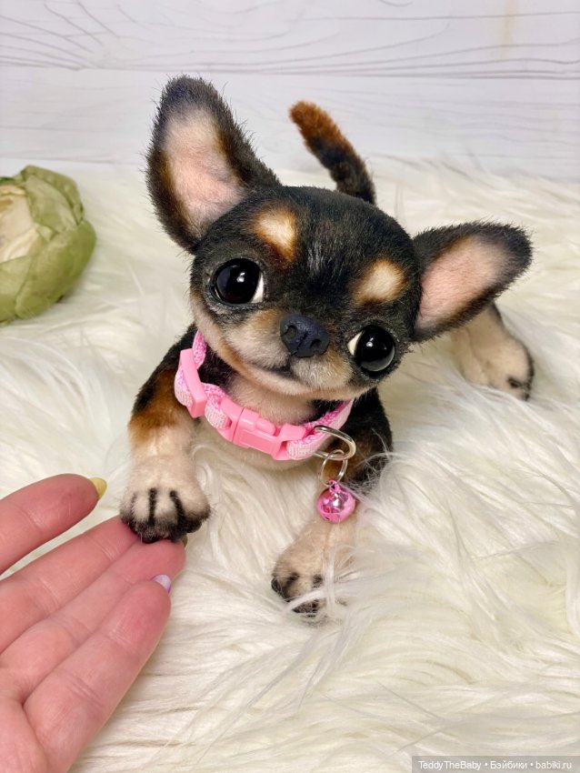 Дейзи 🐶 — Реалистичные игрушки и звери (Натюр): собаки