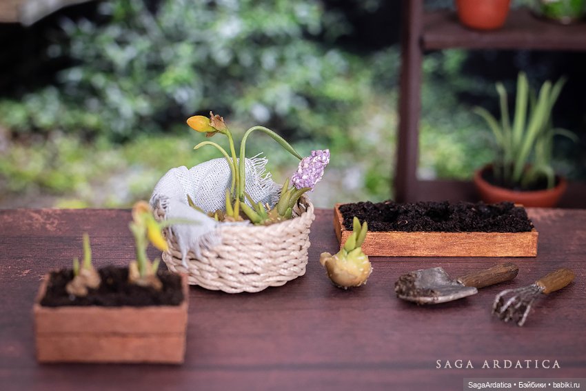 Весенняя рассада - миниатюра для кукол 1/6 (фото 6)