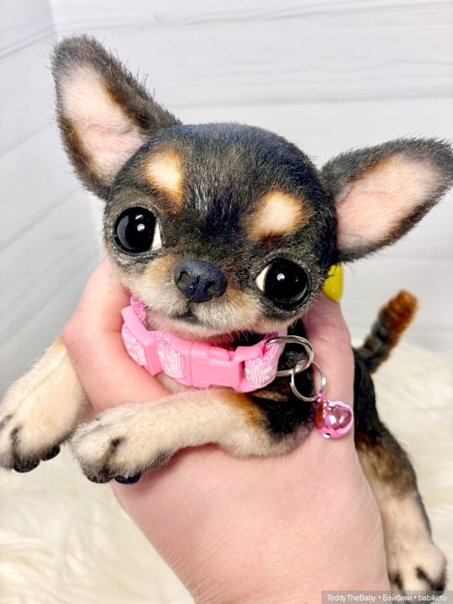 Дейзи 🐶 — Реалистичные игрушки и звери (Натюр): собаки (фото 4)