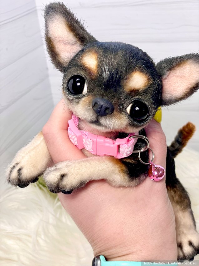 Дейзи 🐶 — Реалистичные игрушки и звери (Натюр): собаки (фото 6)