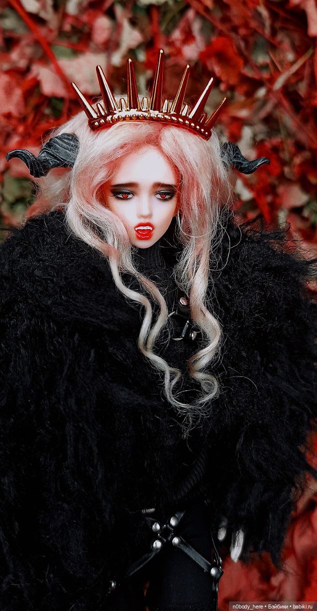 Bedoll head on male obitsu 1/6 body