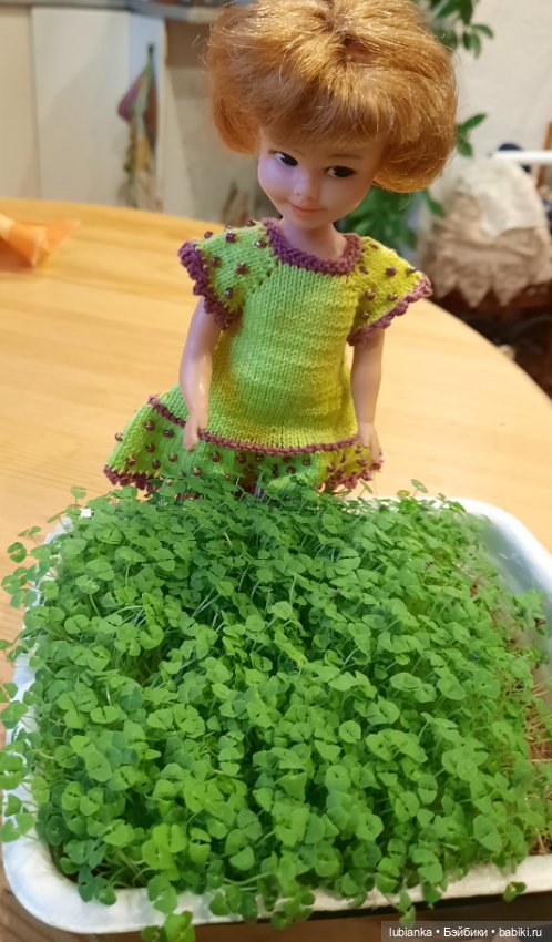 Уже так хочется зелени💚🍀🐛🐸