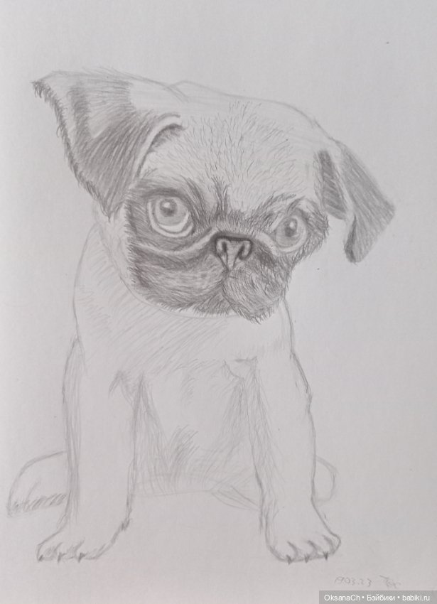 Рисование и арт: скетчи