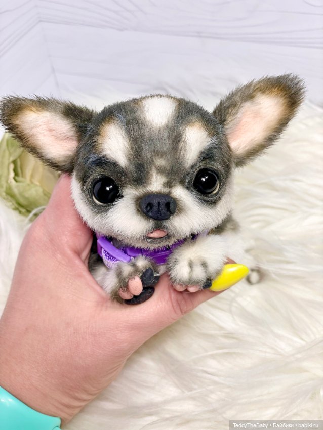 Мими🐶 — Реалистичные игрушки и звери (Натюр): собаки