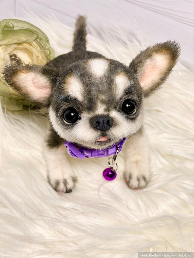 Мими🐶 — Реалистичные игрушки и звери (Натюр): собаки