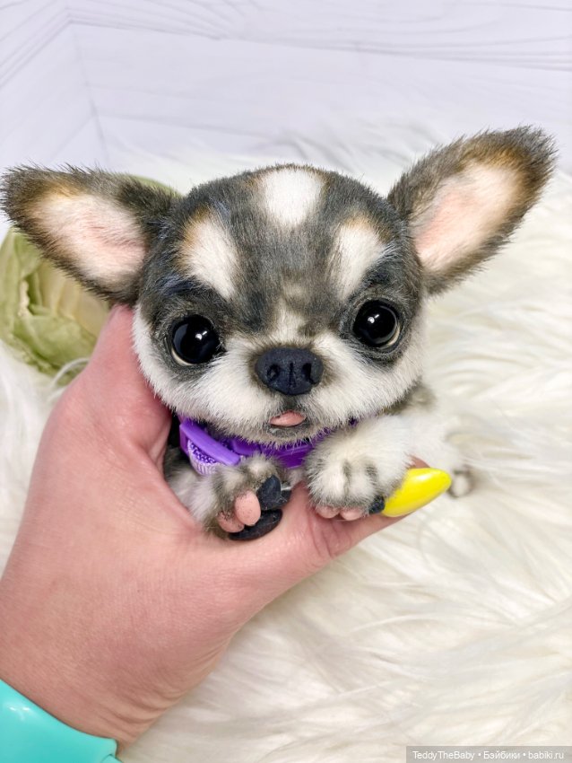 Мими🐶 — Реалистичные игрушки и звери (Натюр): собаки (фото 2)