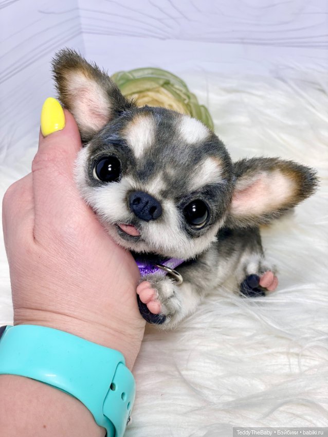 Мими🐶 — Реалистичные игрушки и звери (Натюр): собаки (фото 7)