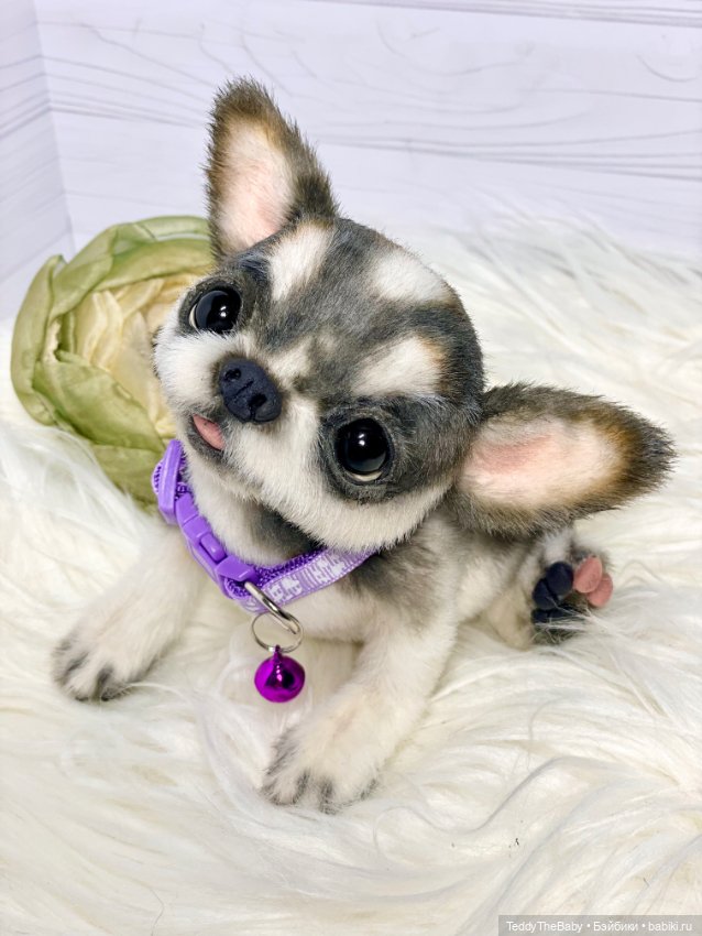 Мими🐶 — Реалистичные игрушки и звери (Натюр): собаки (фото 5)