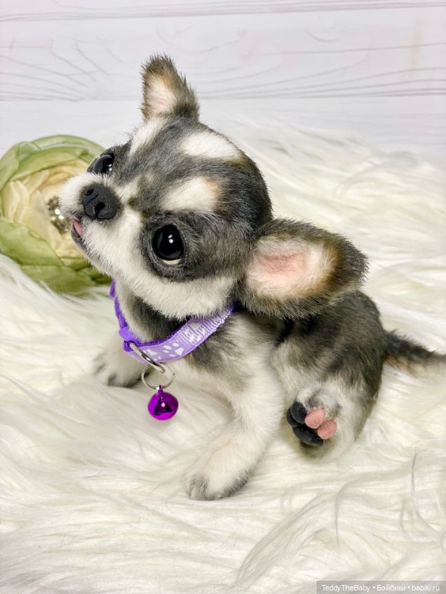 Мими🐶 — Реалистичные игрушки и звери (Натюр): собаки (фото 6)