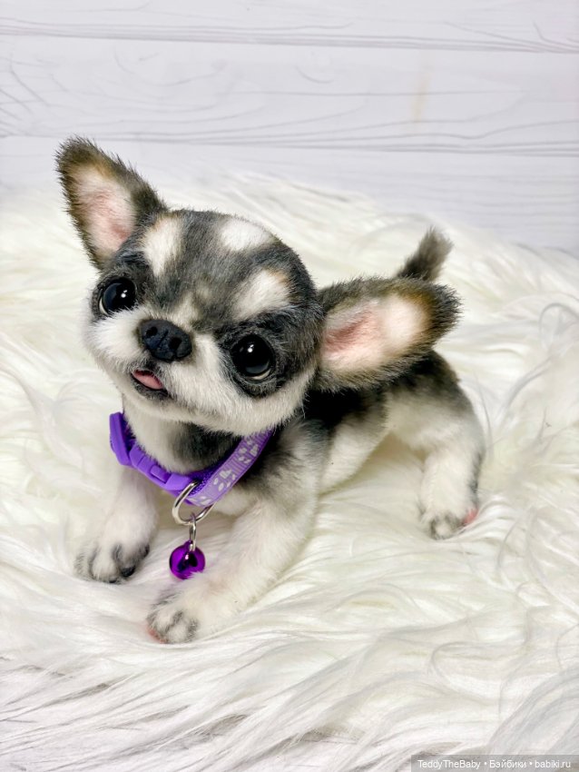 Мими🐶 — Реалистичные игрушки и звери (Натюр): собаки