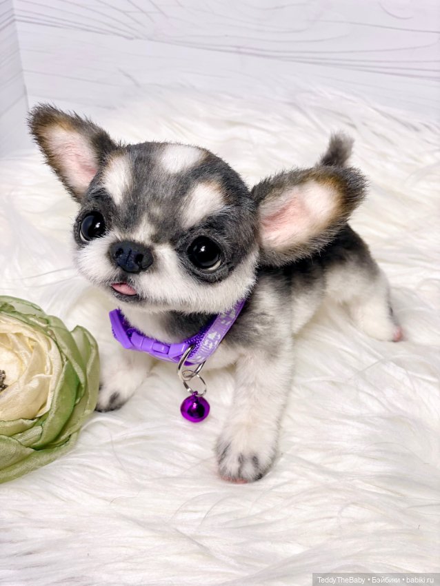 Мими🐶 — Реалистичные игрушки и звери (Натюр): собаки (фото 8)