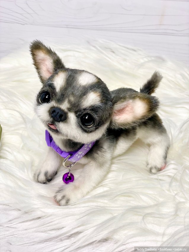 Мими🐶 — Реалистичные игрушки и звери (Натюр): собаки