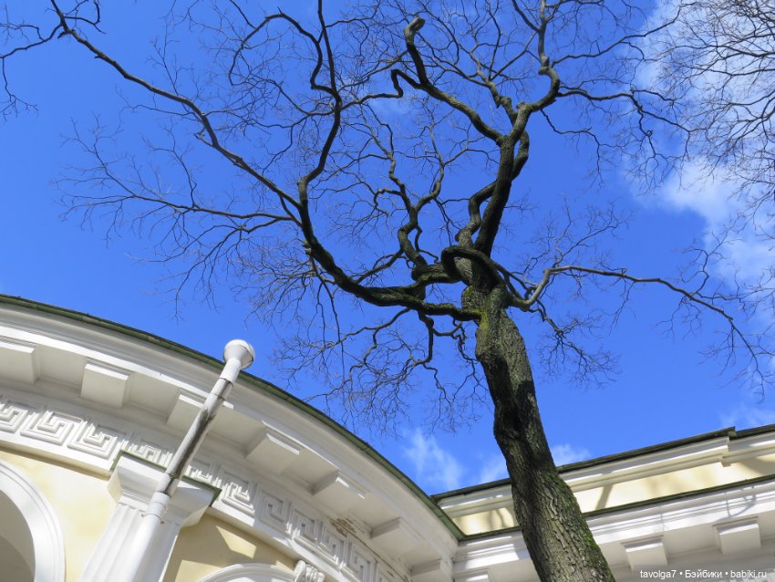 Питер на День Кукольника! И JEM