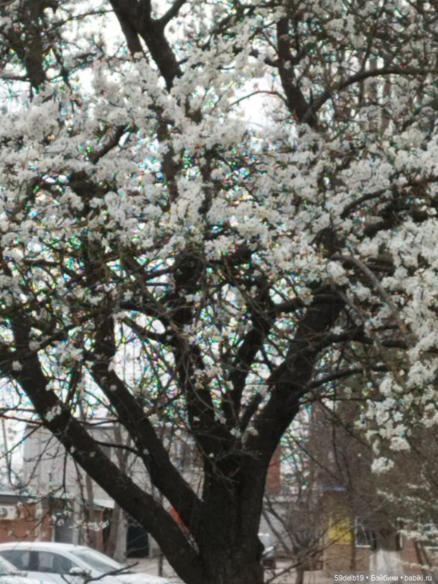 Тея в цветущем саду — Куклы Baboliy (Баболи (фото 4)