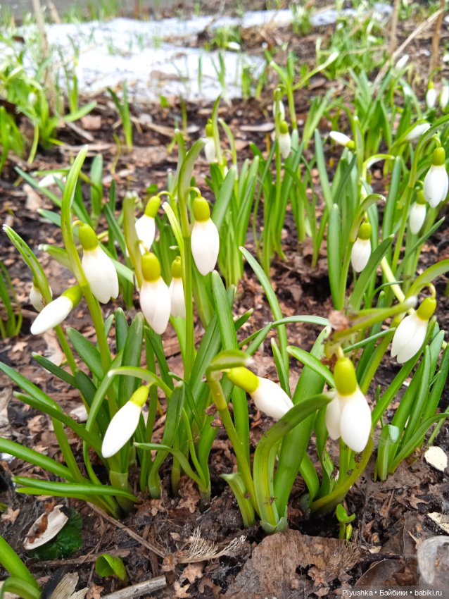 Булочки на прогулке — Куклы Nines d'Onil (Нинес): Миа (Mia) (фото 6)