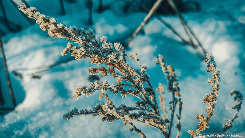 Ангел. Realpuki — Фотоистории с куклами BJD (БЖД): сериалы (фото 4)