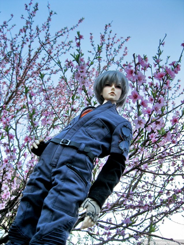 Фотоистории с куклами BJD (БЖД): сериалы (фото 5)