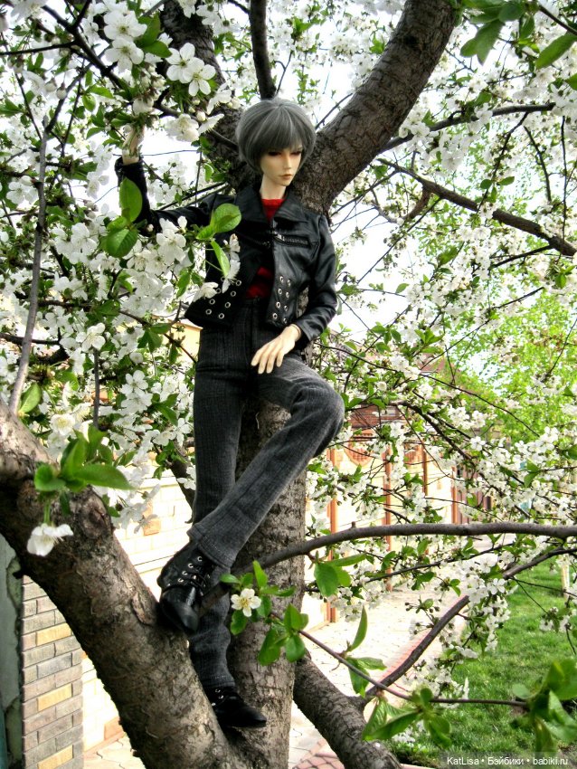 Фотоистории с куклами BJD (БЖД): сериалы (фото 2)