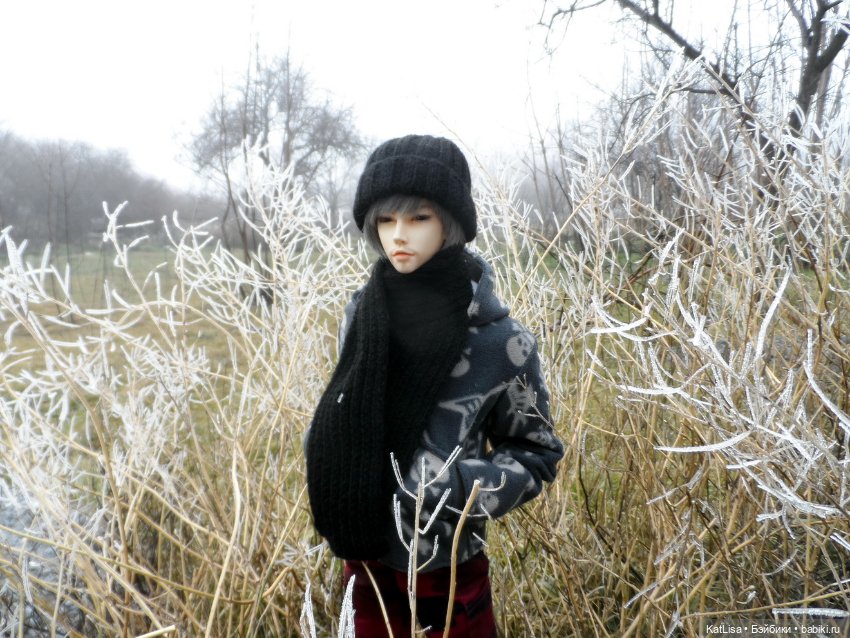 Фотоистории с куклами BJD (БЖД): сериалы