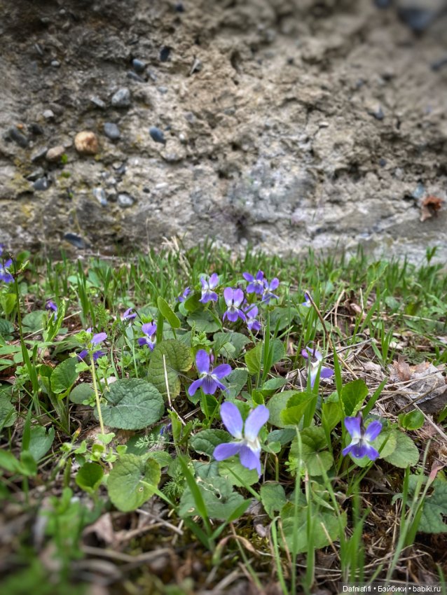 Весенняя пятница,пятничная весна (фото 9)