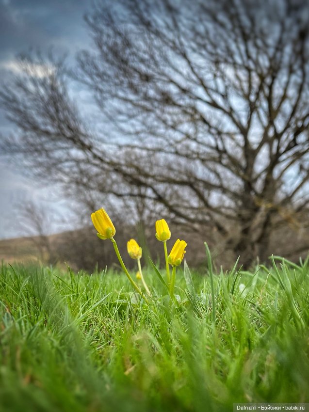 Весенняя пятница,пятничная весна