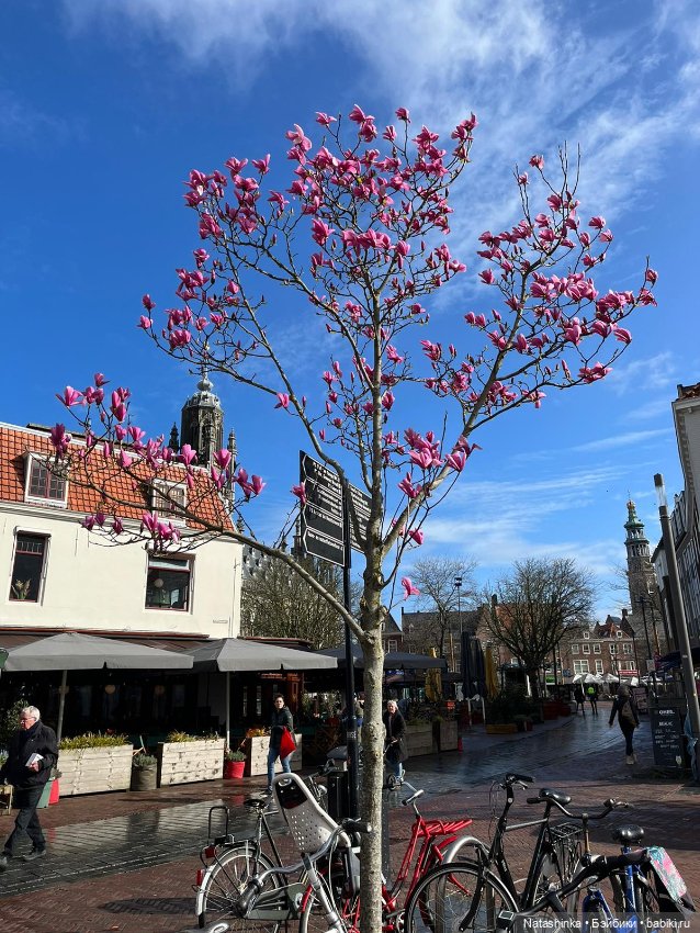 Fashion Dolls 489 — Туризм и путешествия: фотоотчеты из поездок (фото 6)