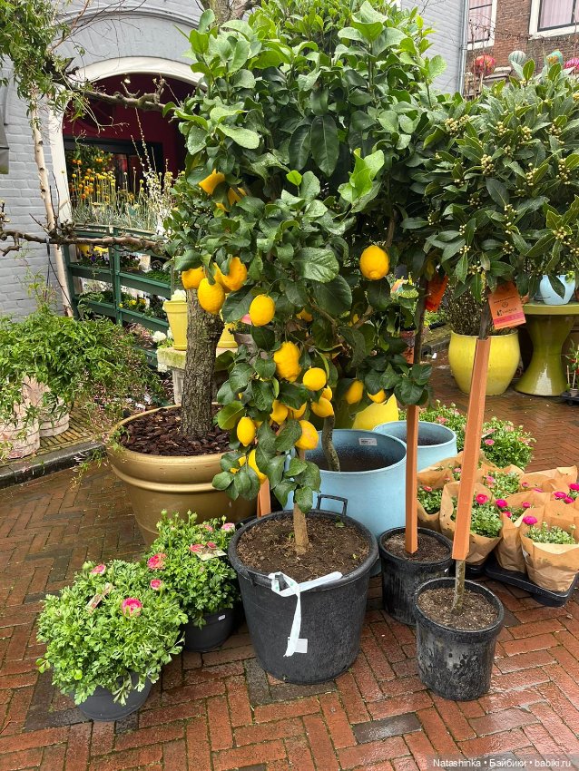 Fashion Dolls 489 — Туризм и путешествия: фотоотчеты из поездок (фото 2)