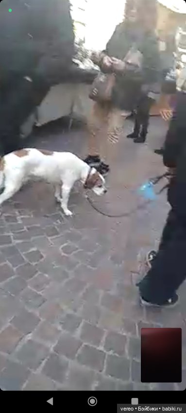 Виртуальное путешествие по рынку Генуи