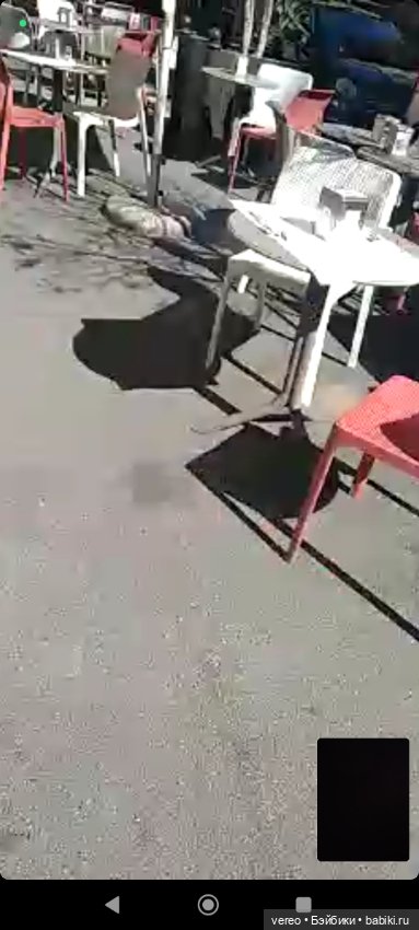 Виртуальное путешествие по рынку Генуи (фото 7)