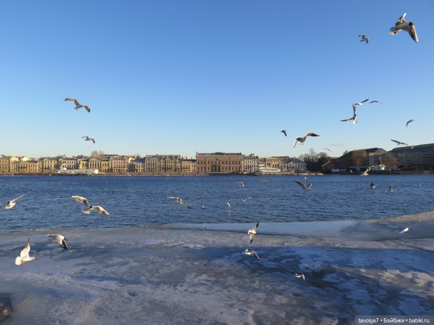 "Jem and the Holograms" от Hasboro 1980х и весенний Питер