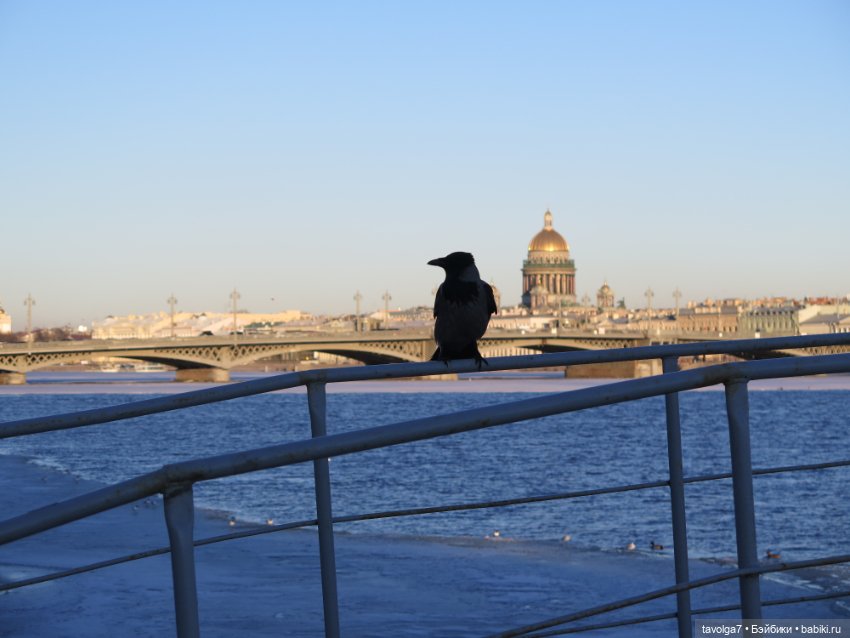 "Jem and the Holograms" от Hasboro 1980х и весенний Питер