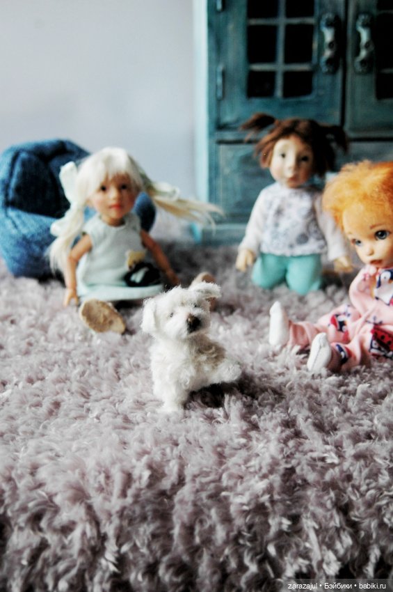 У моего детсада новый питомец