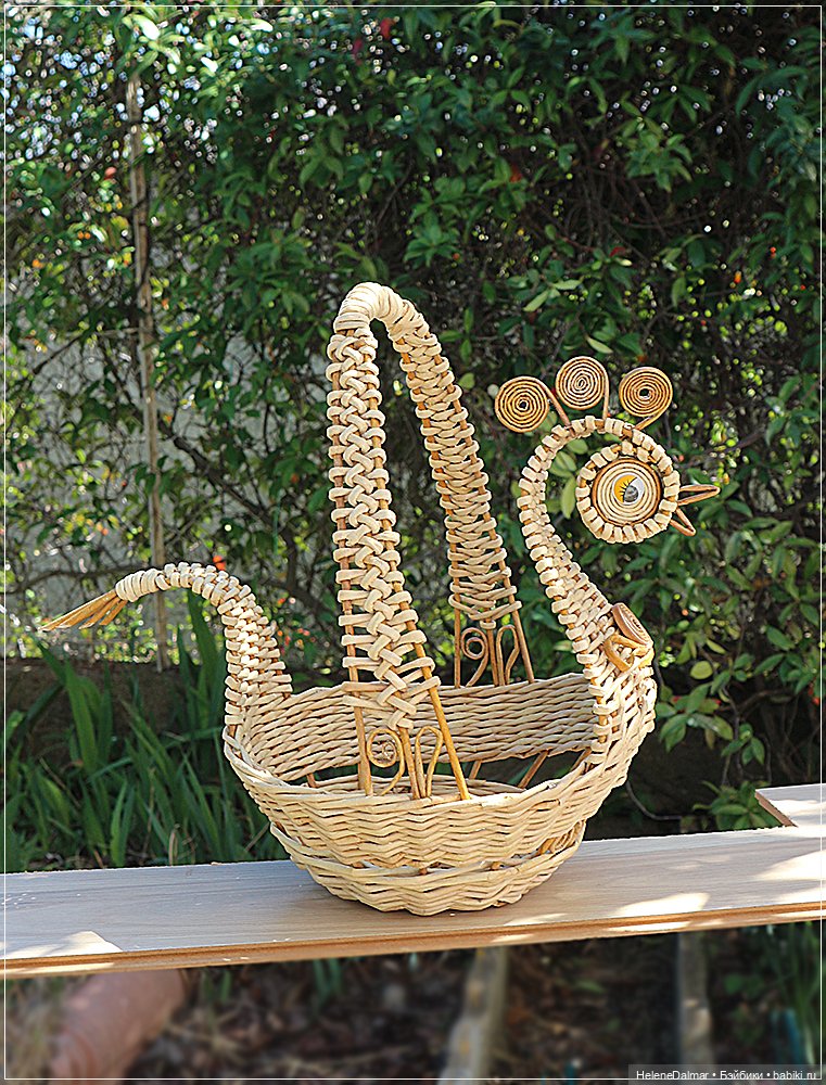 Новый вирус у меня — Проба пера: рассказы (фото 10)