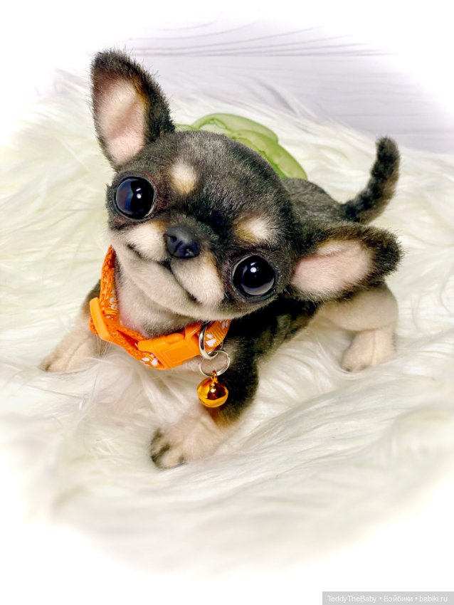 Stitch 🐶 — Реалистичные игрушки и звери (Натюр): собаки (фото 4)