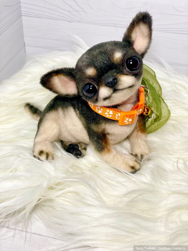 Stitch 🐶 — Реалистичные игрушки и звери (Натюр): собаки (фото 6)