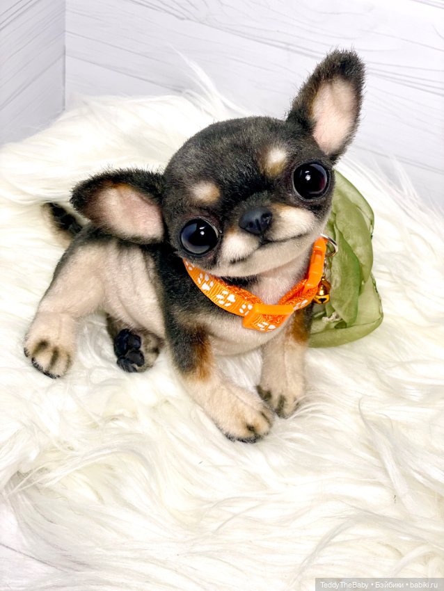 Stitch 🐶 — Реалистичные игрушки и звери (Натюр): собаки (фото 9)