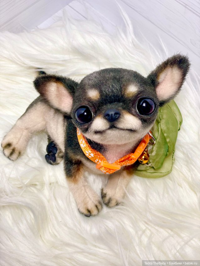 Stitch 🐶 — Реалистичные игрушки и звери (Натюр): собаки (фото 8)