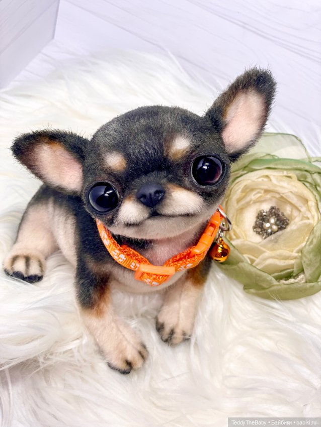 Stitch 🐶 — Реалистичные игрушки и звери (Натюр): собаки (фото 10)