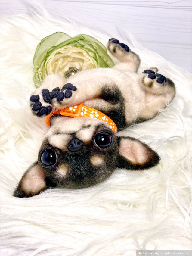 Stitch 🐶 — Реалистичные игрушки и звери (Натюр): собаки (фото 2)