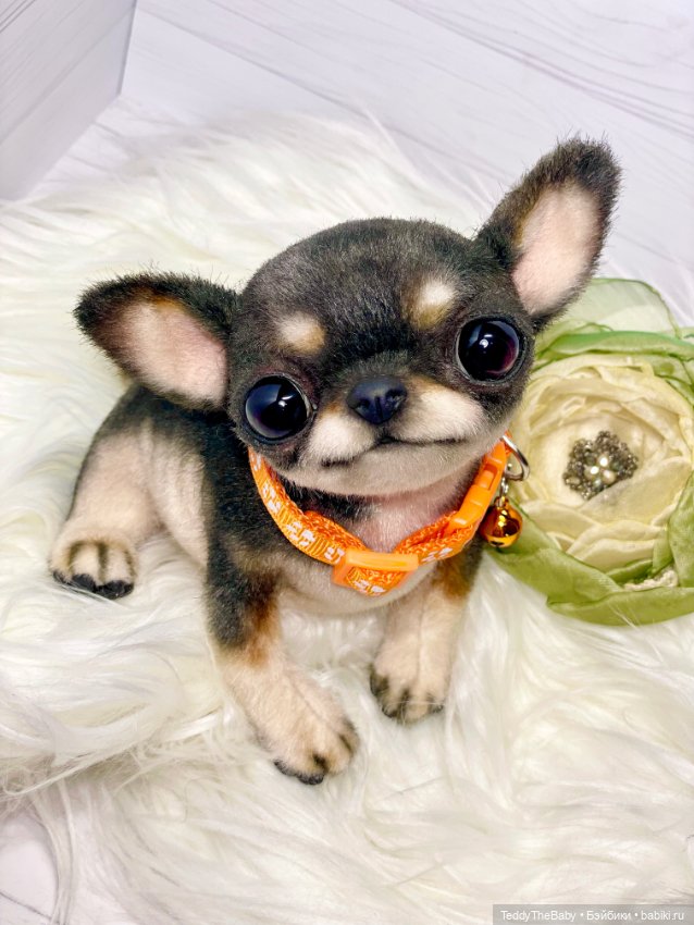 Stitch 🐶 — Реалистичные игрушки и звери (Натюр): собаки